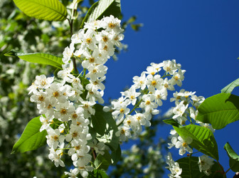 Similar image 692557