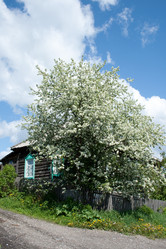 Similar image 692568