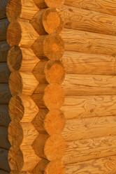 Similar image 692569