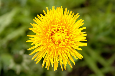 Similar image 692572