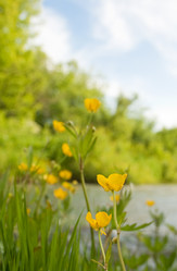 Similar image 692576