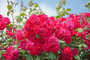 Similar image 692602