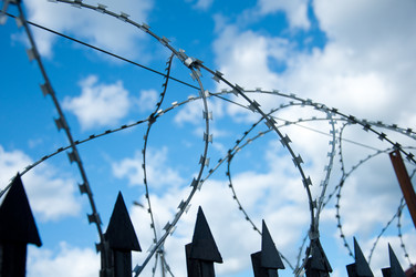 Similar image 692604