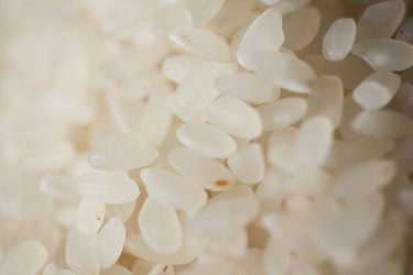 Similar image 692650