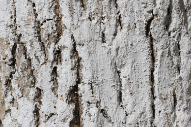 Similar image 692671