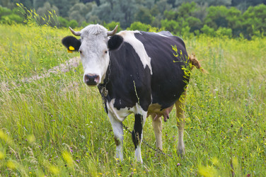 Similar image 692684