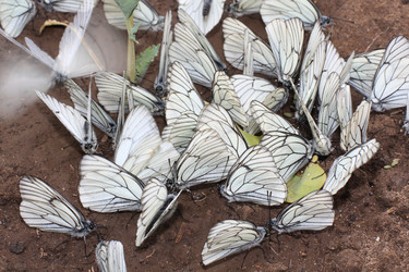 Similar image 692704