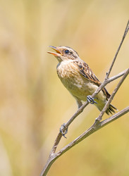 Similar image 692712