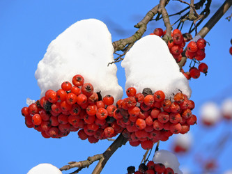 Similar image 692817