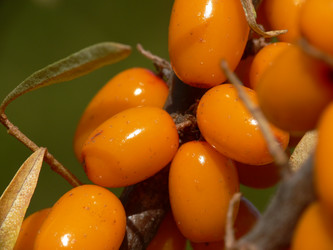 Similar image 692823