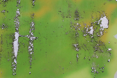 Similar image 692824