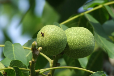 Similar image 692826