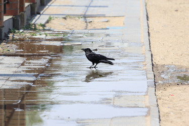 Similar image 692830