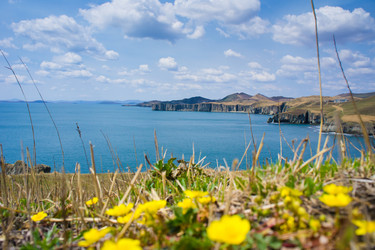 Similar image 692890