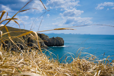 Similar image 692891