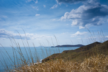 Similar image 692892