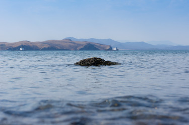 Similar image 692897