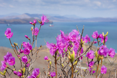 Similar image 692902