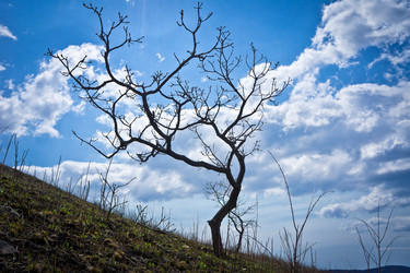 Similar image 692905