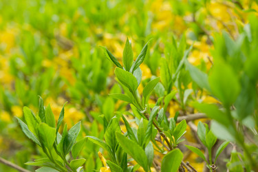 Similar image 692908