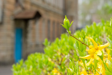 Similar image 692909