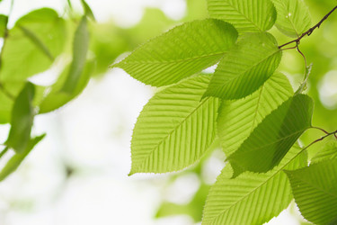 Similar image 692918