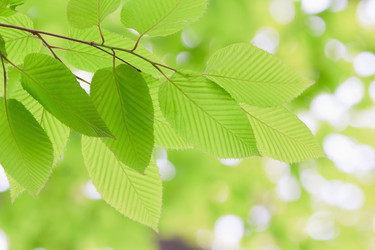 Similar image 692919