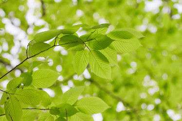 Similar image 692920