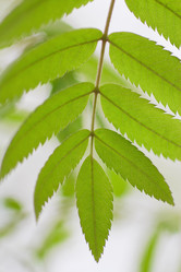 Similar image 692921