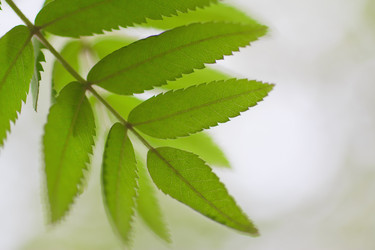 Similar image 692922