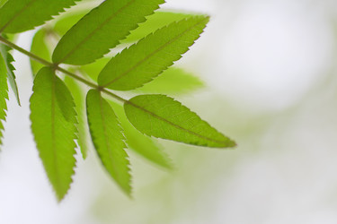 Similar image 692923