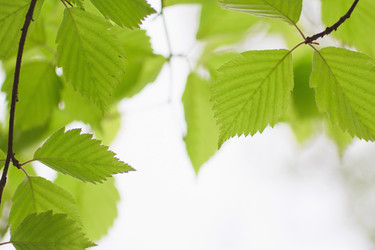 Similar image 692924