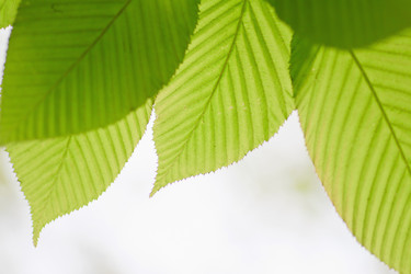 Similar image 692926