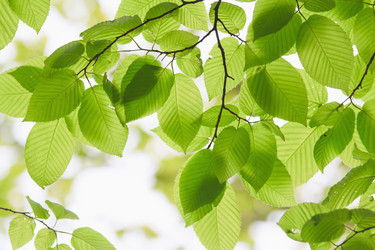 Similar image 692928