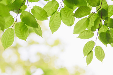 Similar image 692929