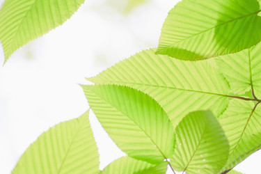 Similar image 692930