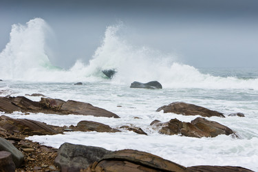 Similar image 692935