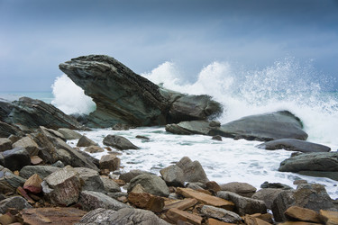 Similar image 692940