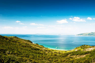 Similar image 692943