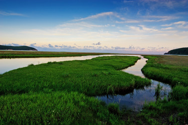 Similar image 692946