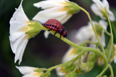 Similar image 692948