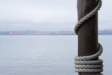 Similar image 692956