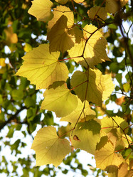 Similar image 692960