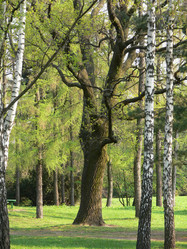 Similar image 692962