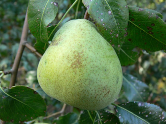 Similar image 692964