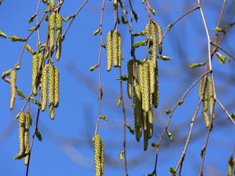 Similar image 692965