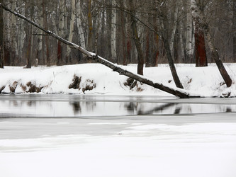 Similar image 692968