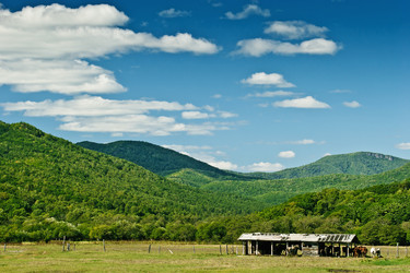 Similar image 692971