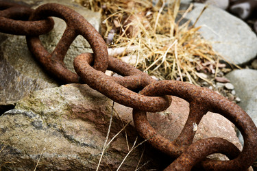 Similar image 692972