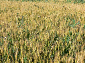 Similar image 693000